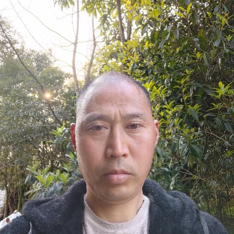 英俊踢哈密瓜的照片