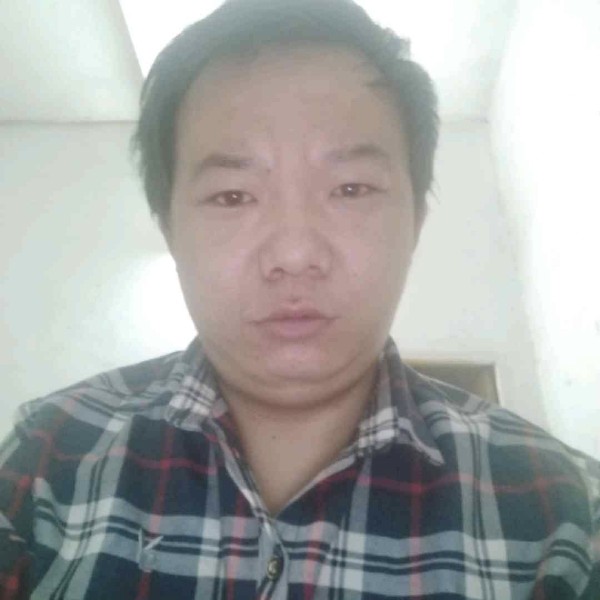 橘子回首小巧的照片