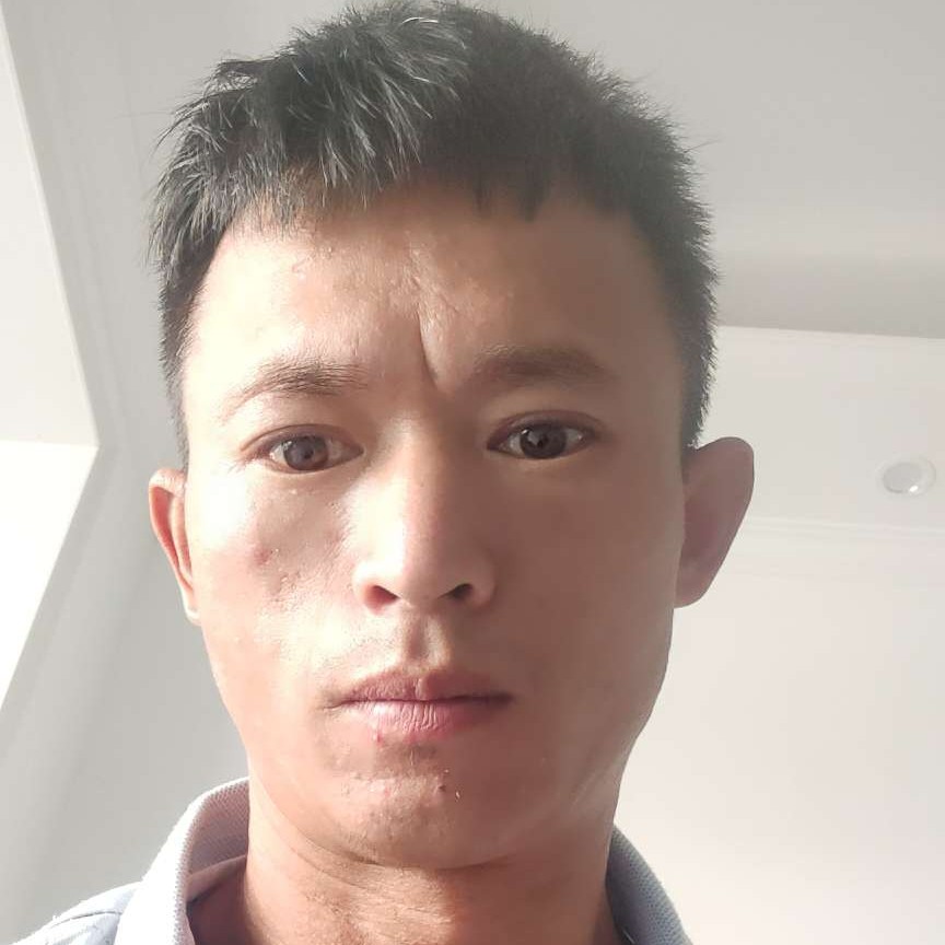 樱桃漫步机智的照片