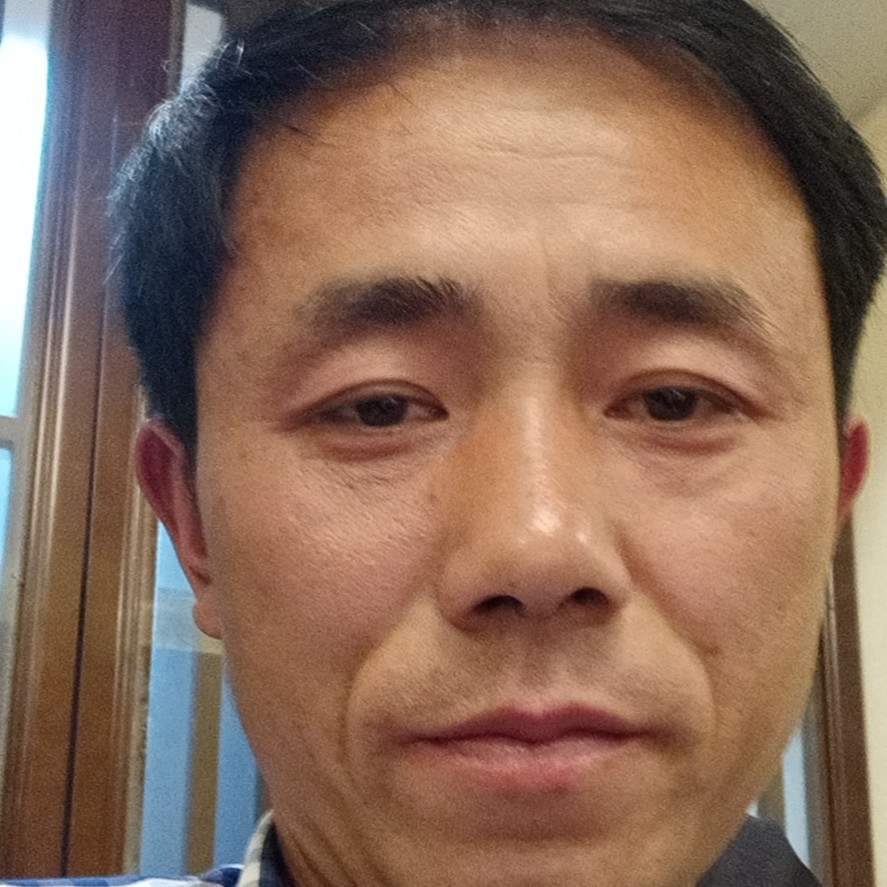 向日葵苦恋浅唱的照片