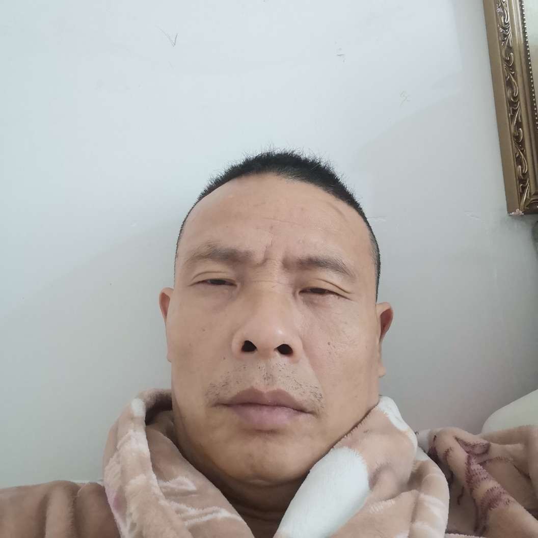 蜜蜂落拓的照片