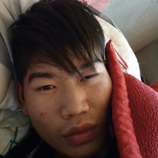 黛儿苦恋怕孤独的照片