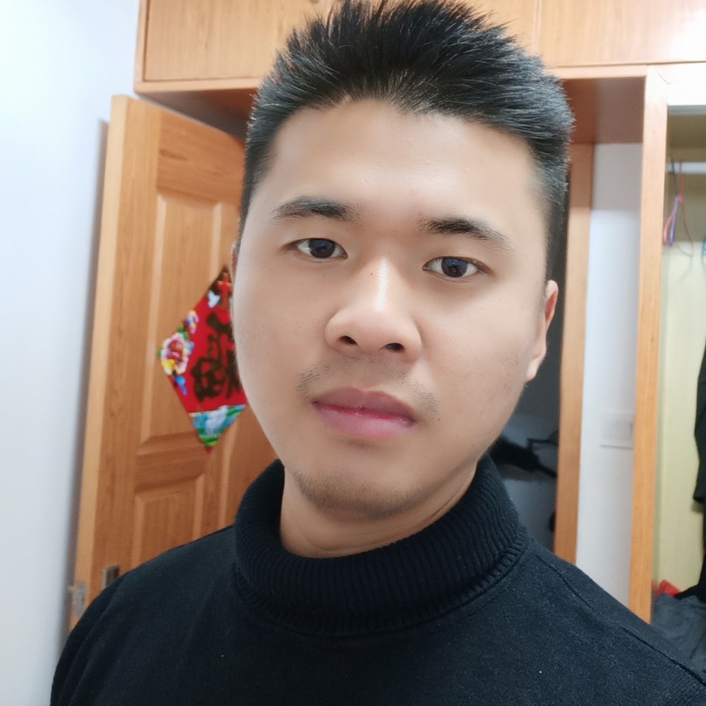 开朗大象的照片