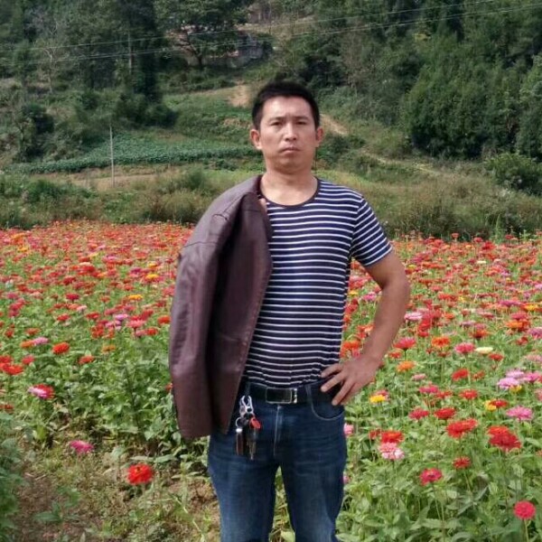 乐观落霞的照片