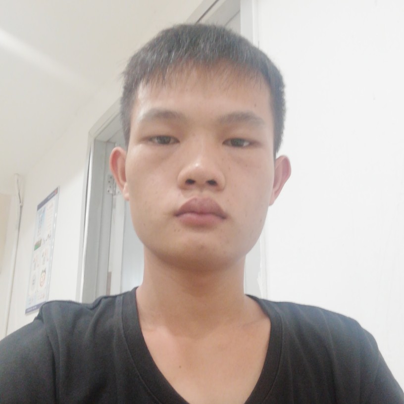 危机小兔子的照片