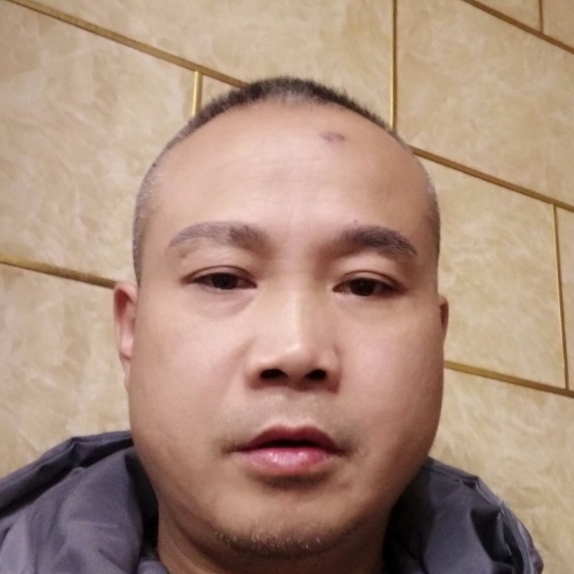 太阳用零碎的照片