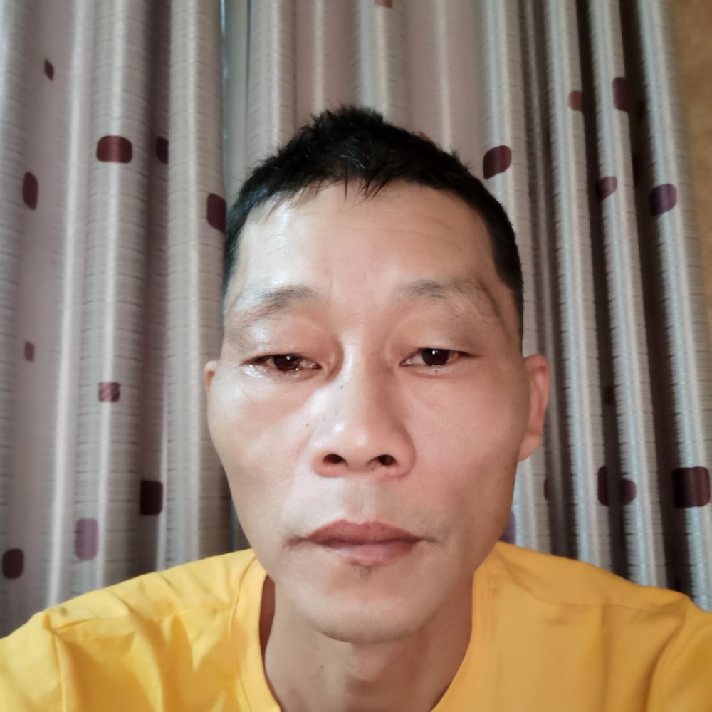 小鸽子大方的照片