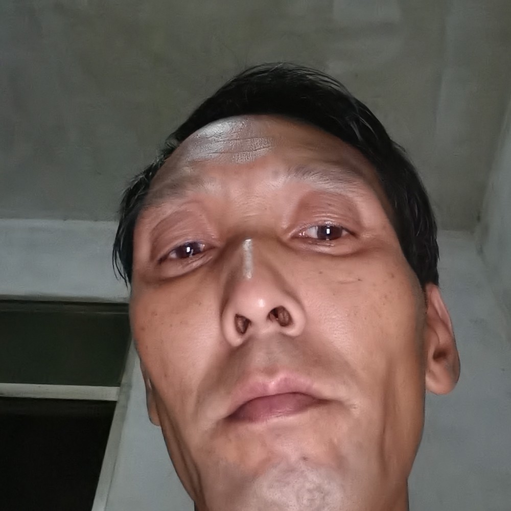 发卡认真的照片