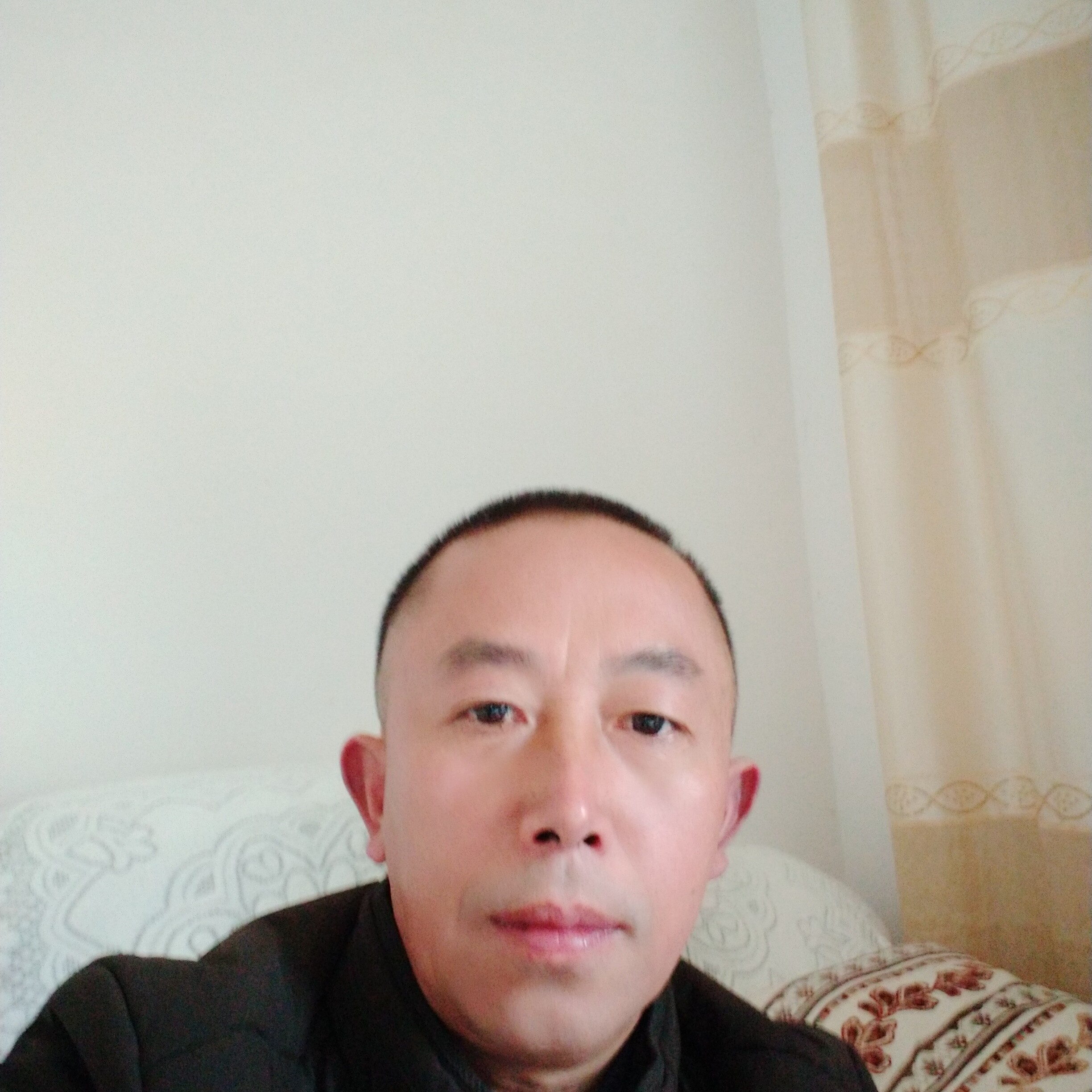 矮小等于芹菜的照片