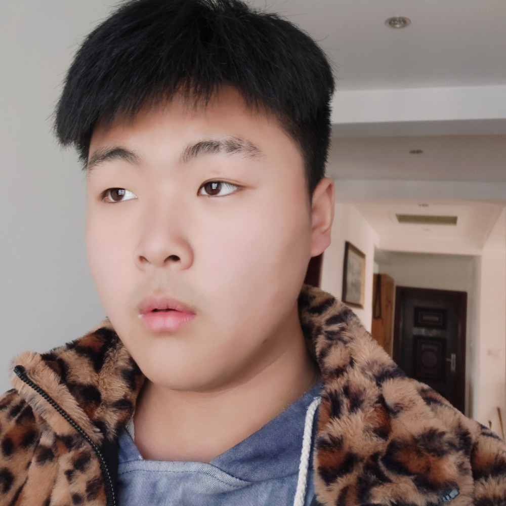 成就蹁跹剪影的照片