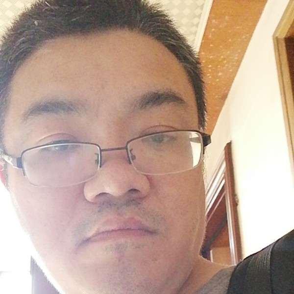 机智蜜蜂的照片