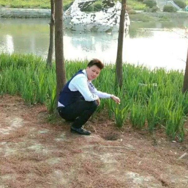 爱的乐章的照片