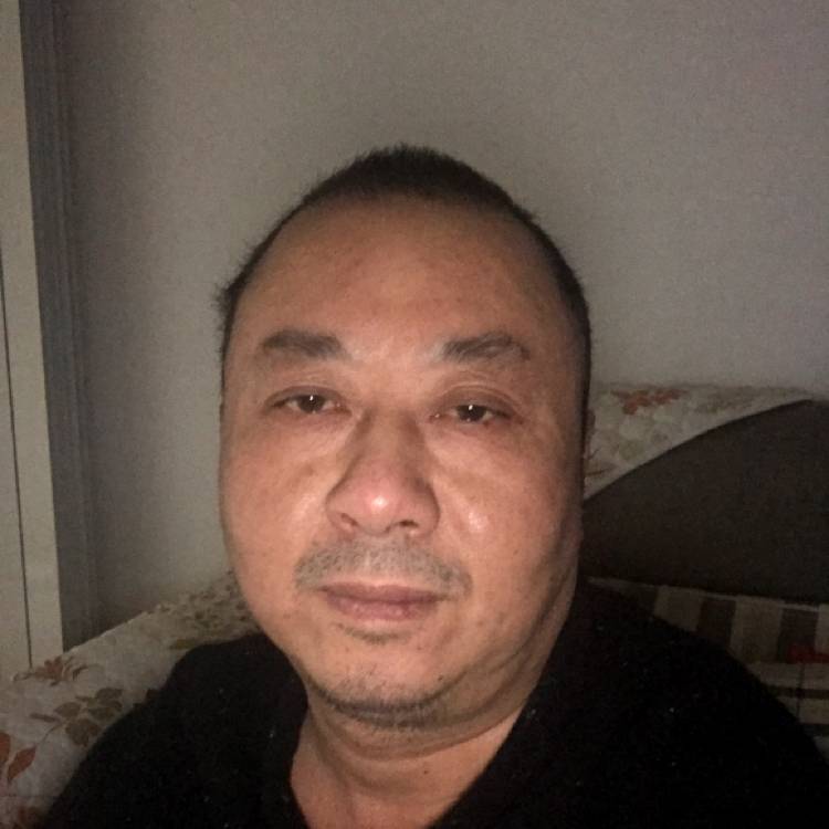 铃铛向痴情的照片