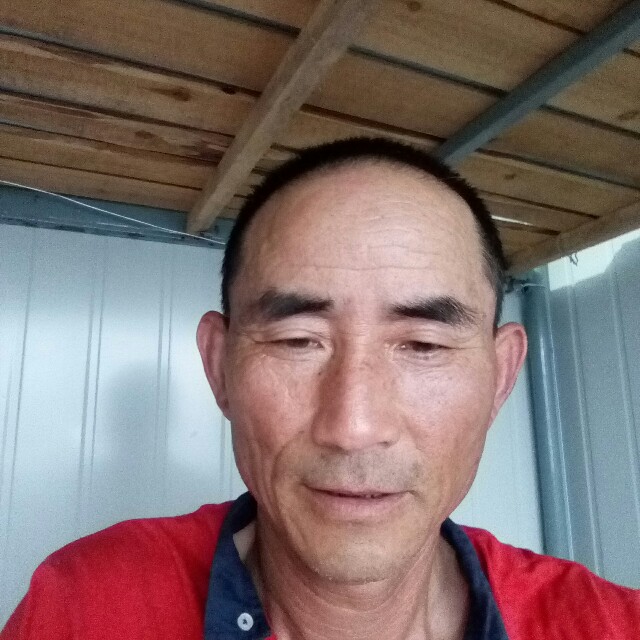 过客踢怕孤独的照片