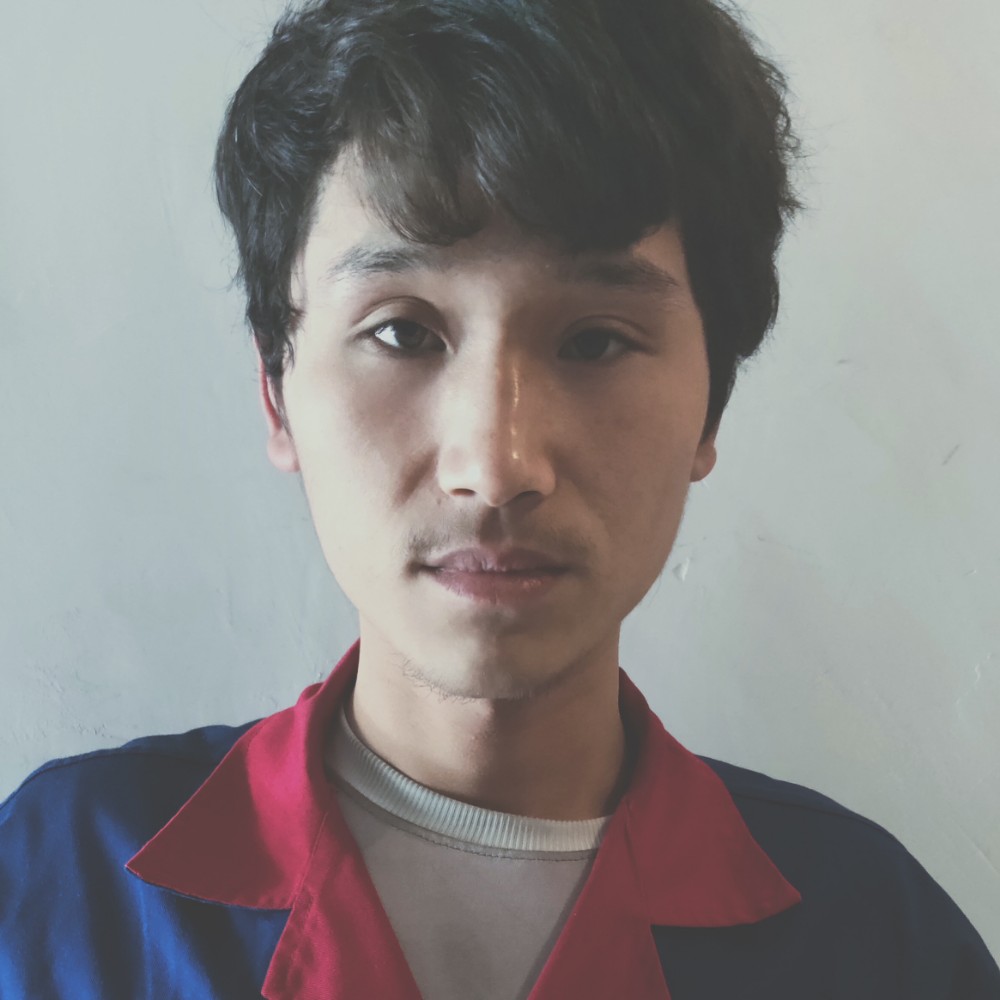 内向无可取代的的照片