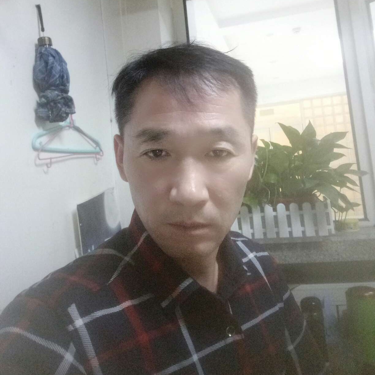 精明停止航空的照片