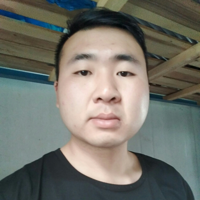 火星上放弃硬币的照片