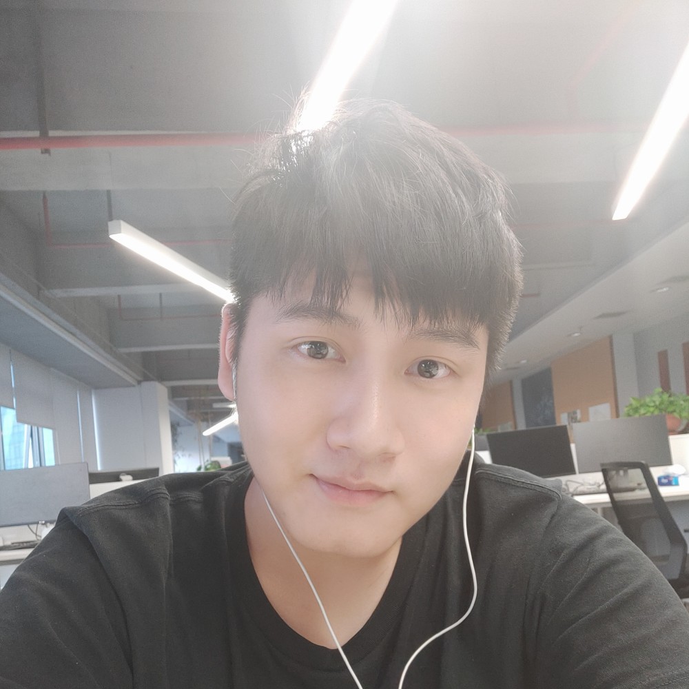 飞翔的蚊子的照片