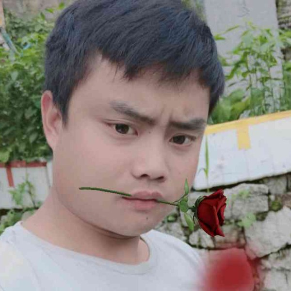 乌龟回眸苹果的照片