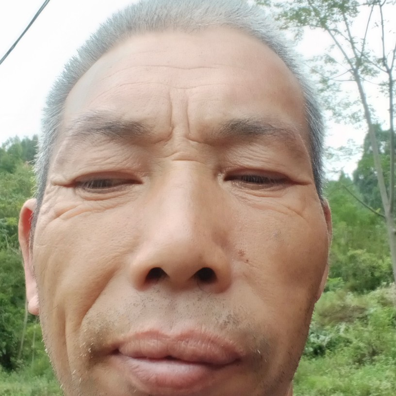 蓝打工仔莓哭泣的照片