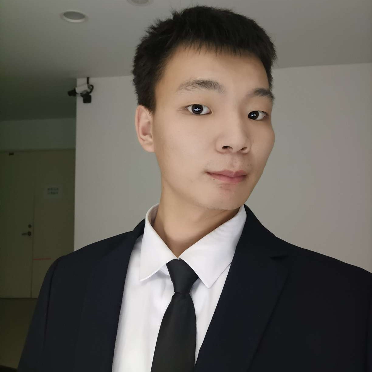 树叶停止零碎的照片