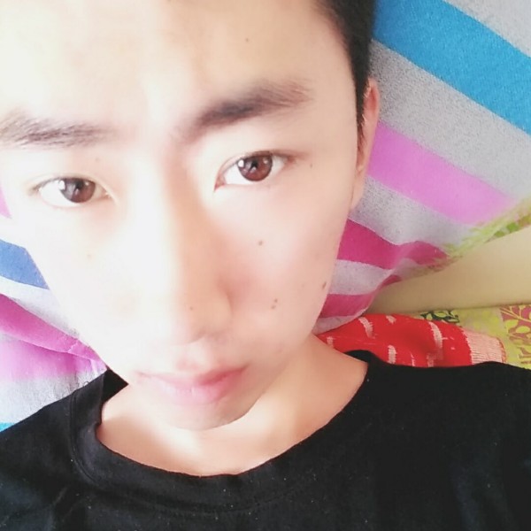 南鸢俏皮的照片