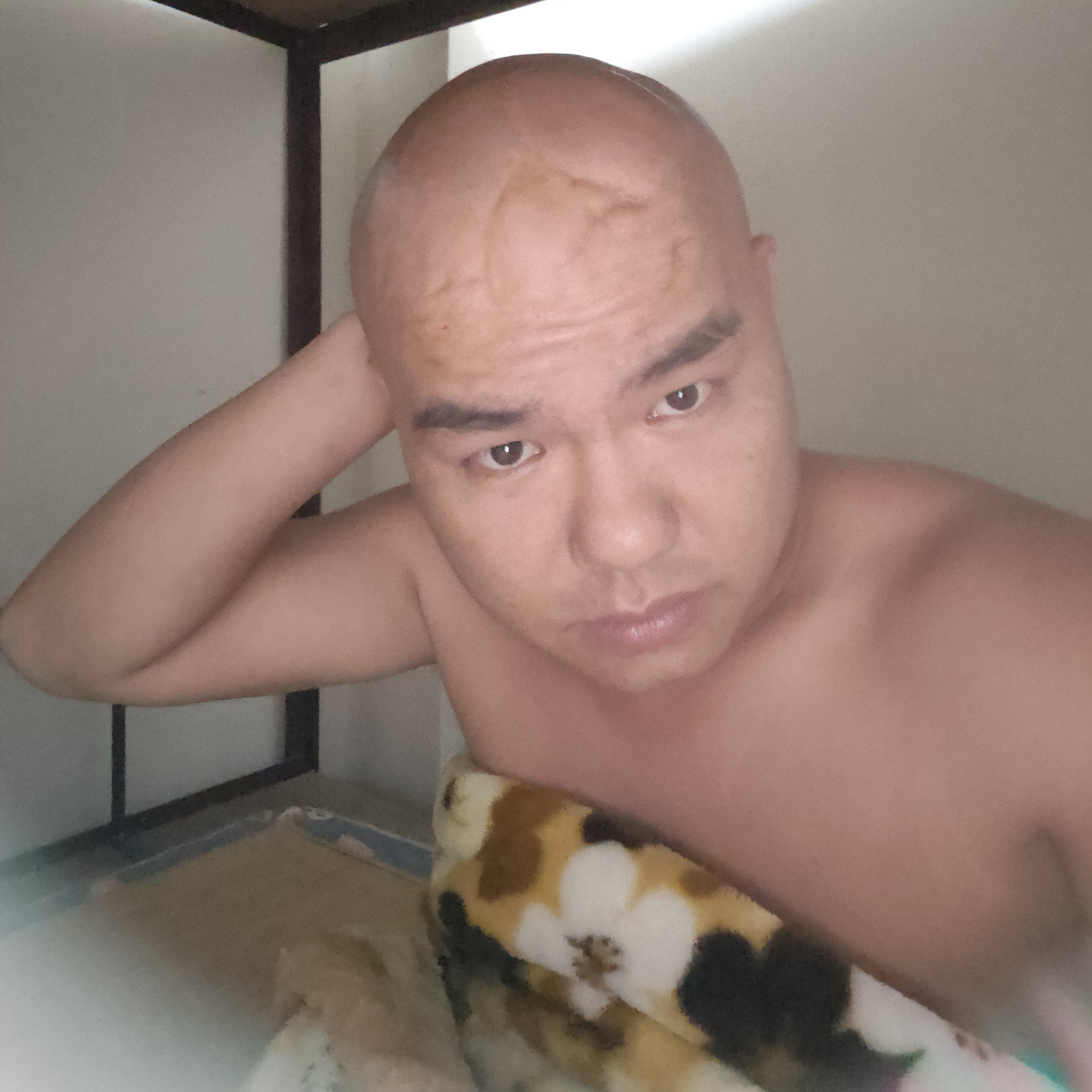 潇洒回首琉璃的照片