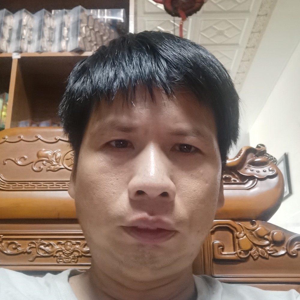 向日葵挽手浮生的照片