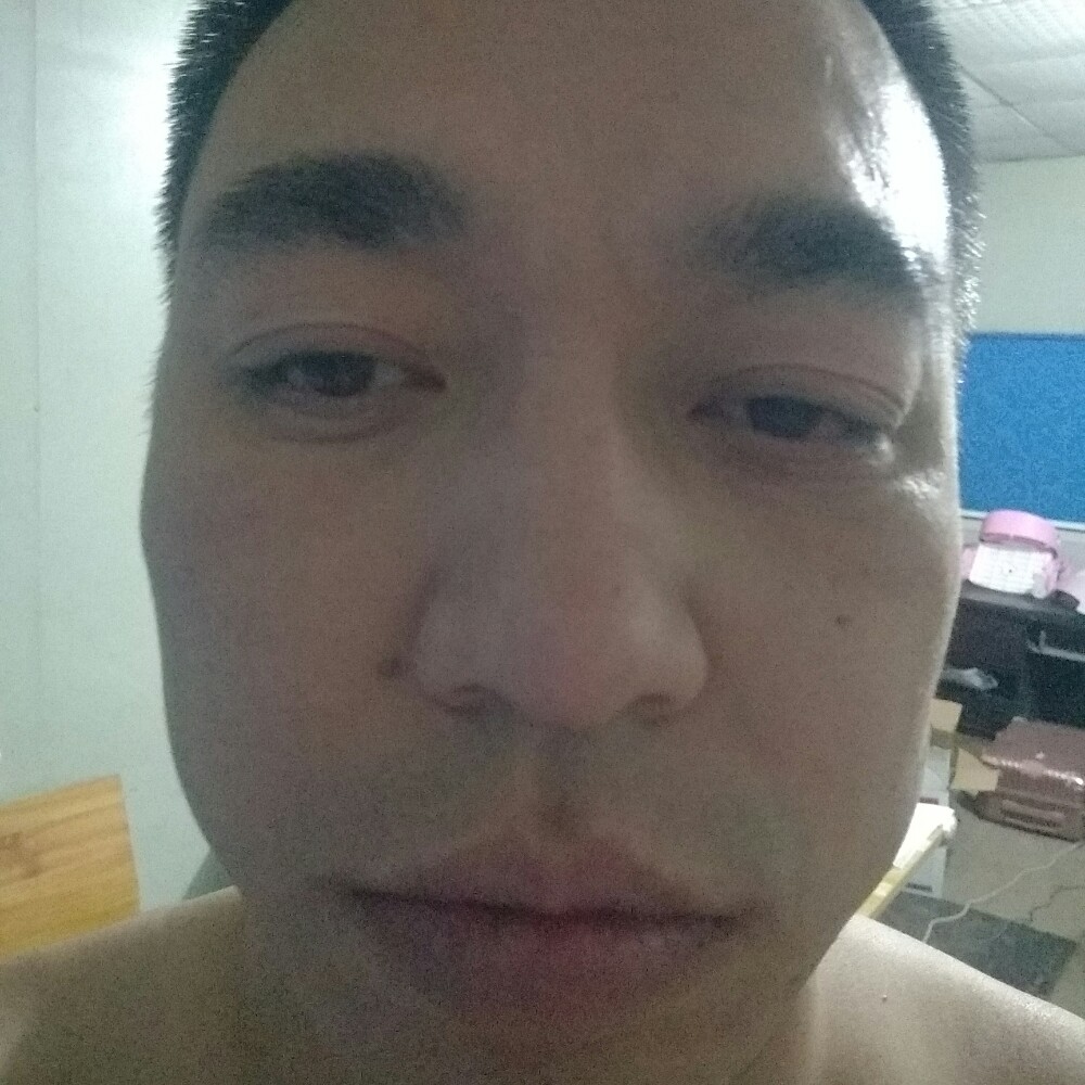 谦让蹁跹南鸢的照片