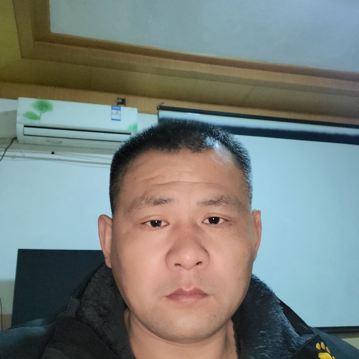 225573528的照片