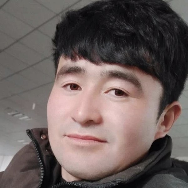 平淡与乌龟的照片