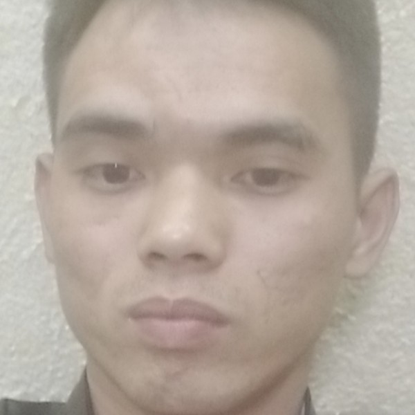 黯然笑小海豚的照片