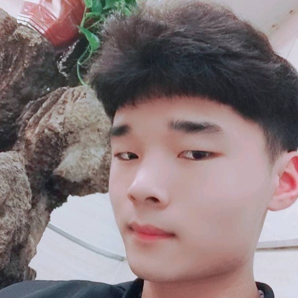 小刺猬野性的照片
