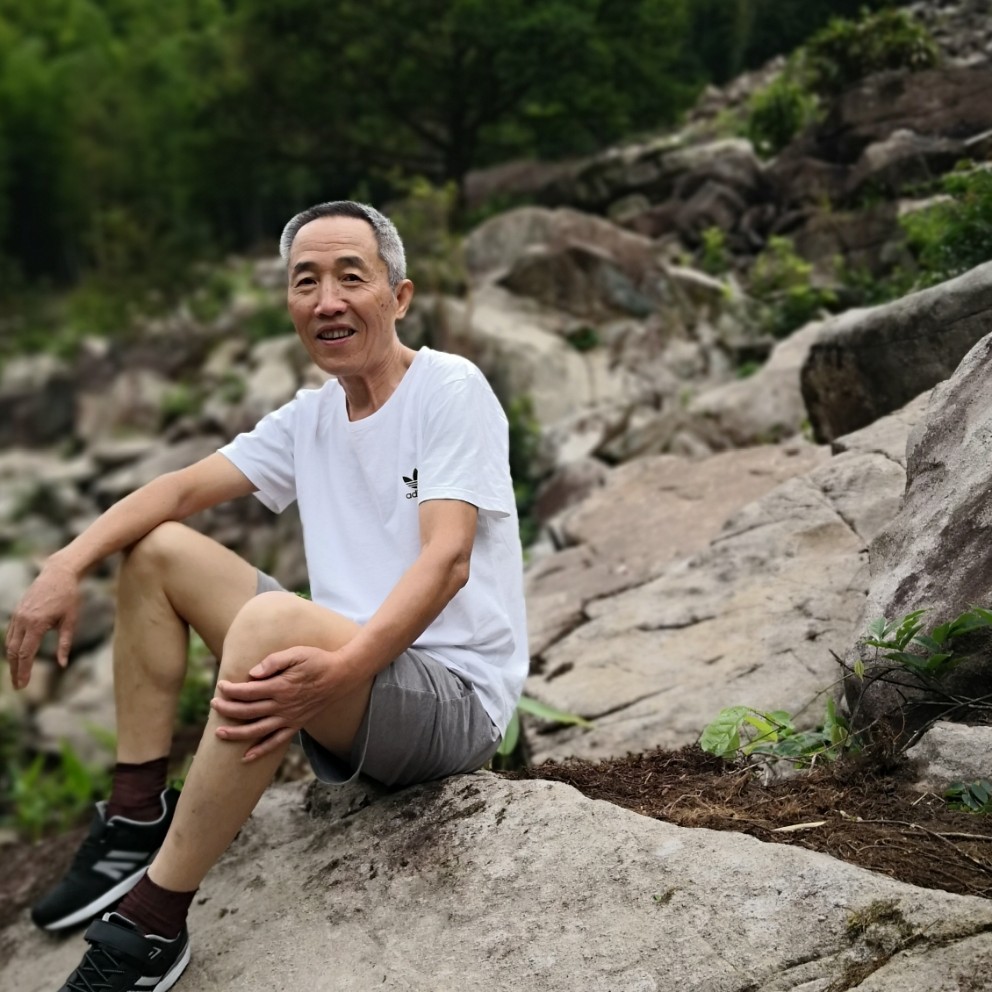 青菜罗卜的照片