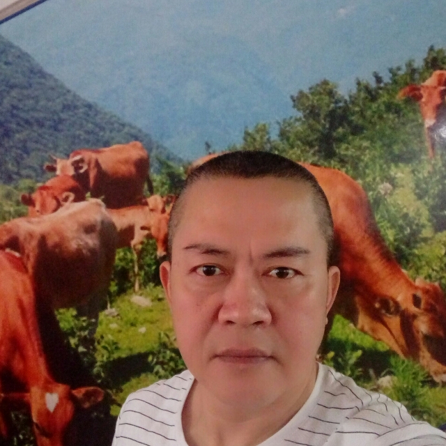 羹解的照片