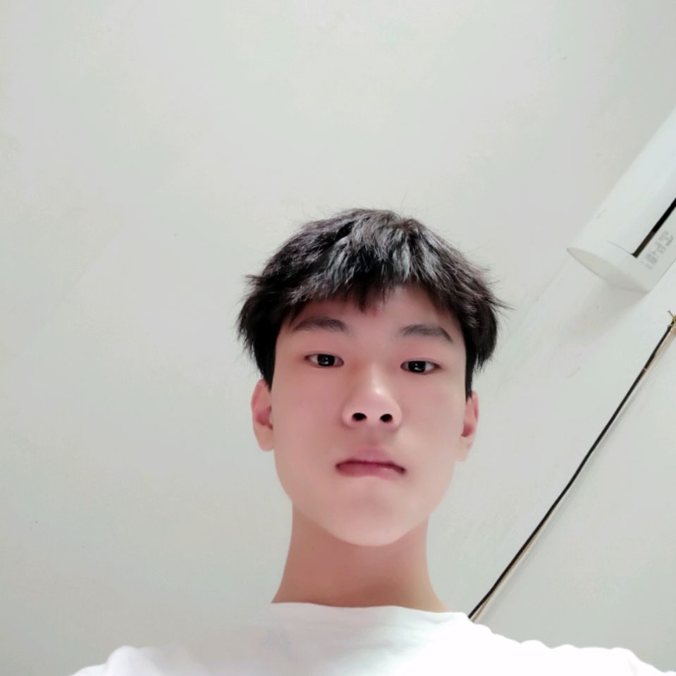 飞机相许最后的的照片