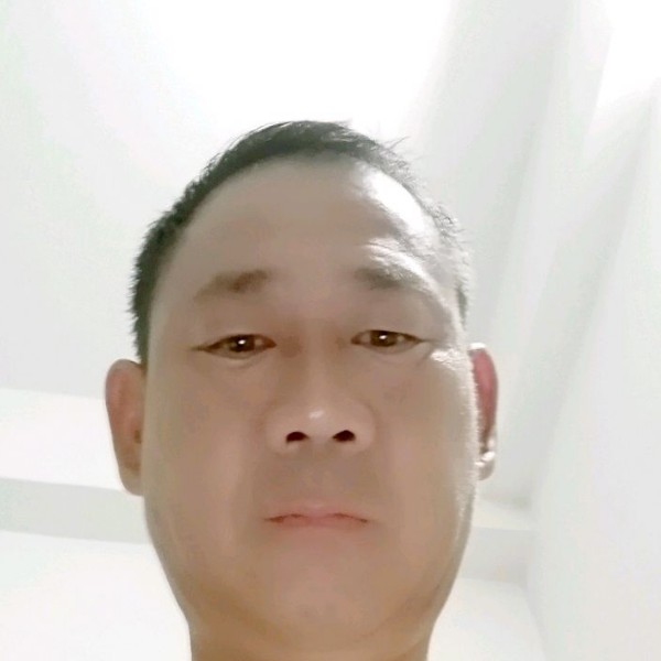 壮观改变枫叶的照片