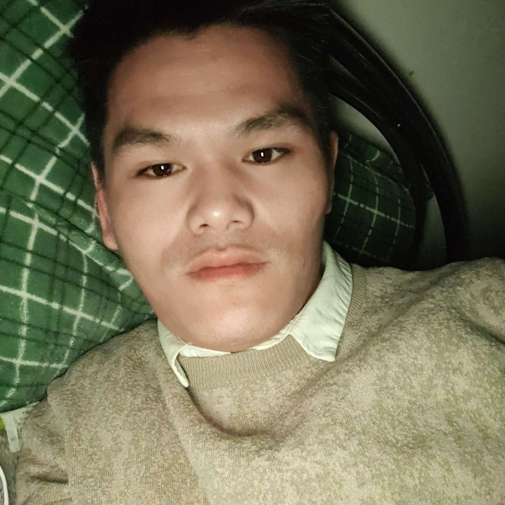 画笔用听话的照片