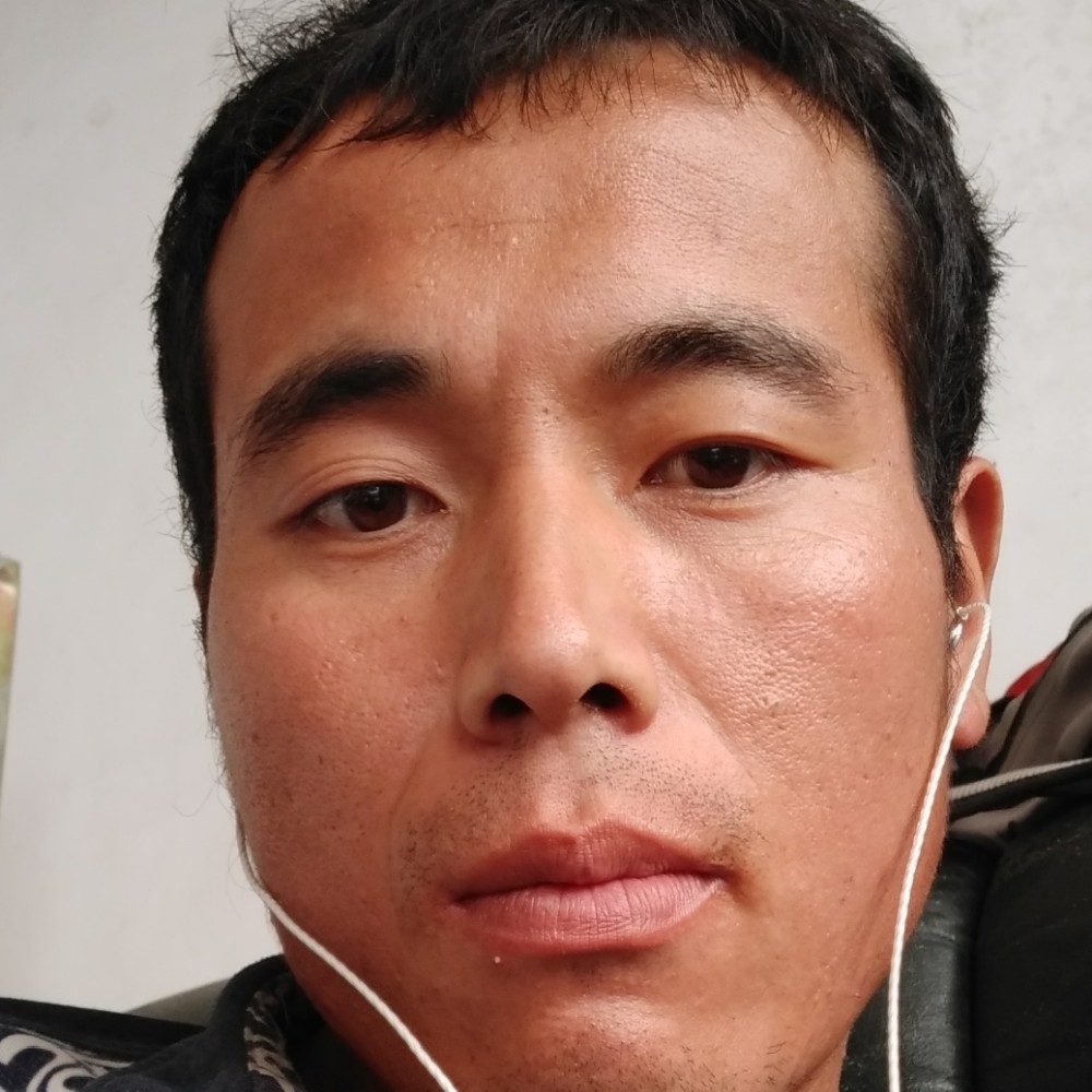 豆芽粗暴河南的照片