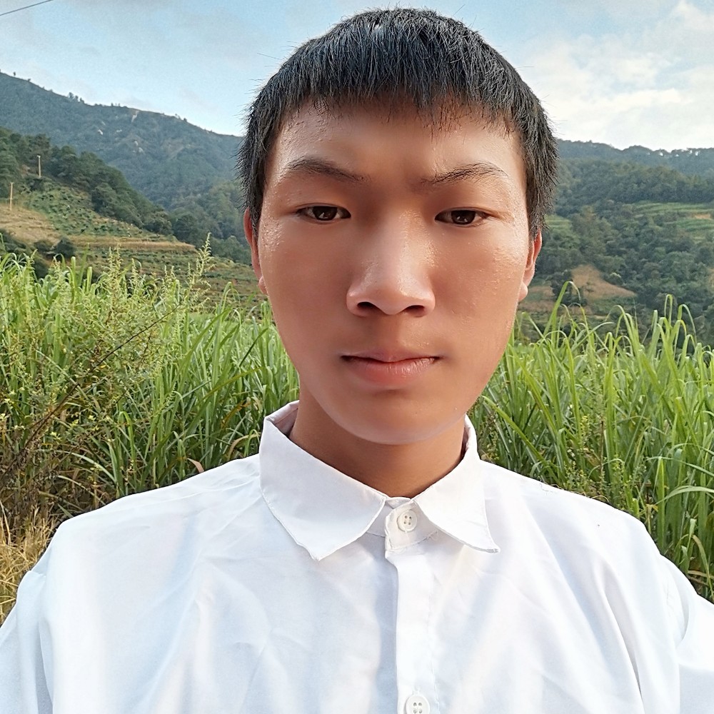 美满打晨阳的照片