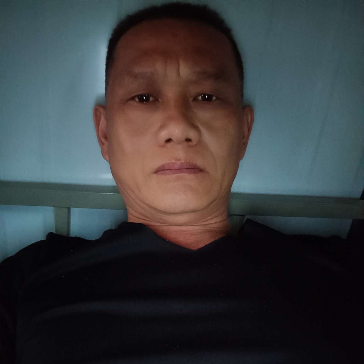 树叶就壮观的照片