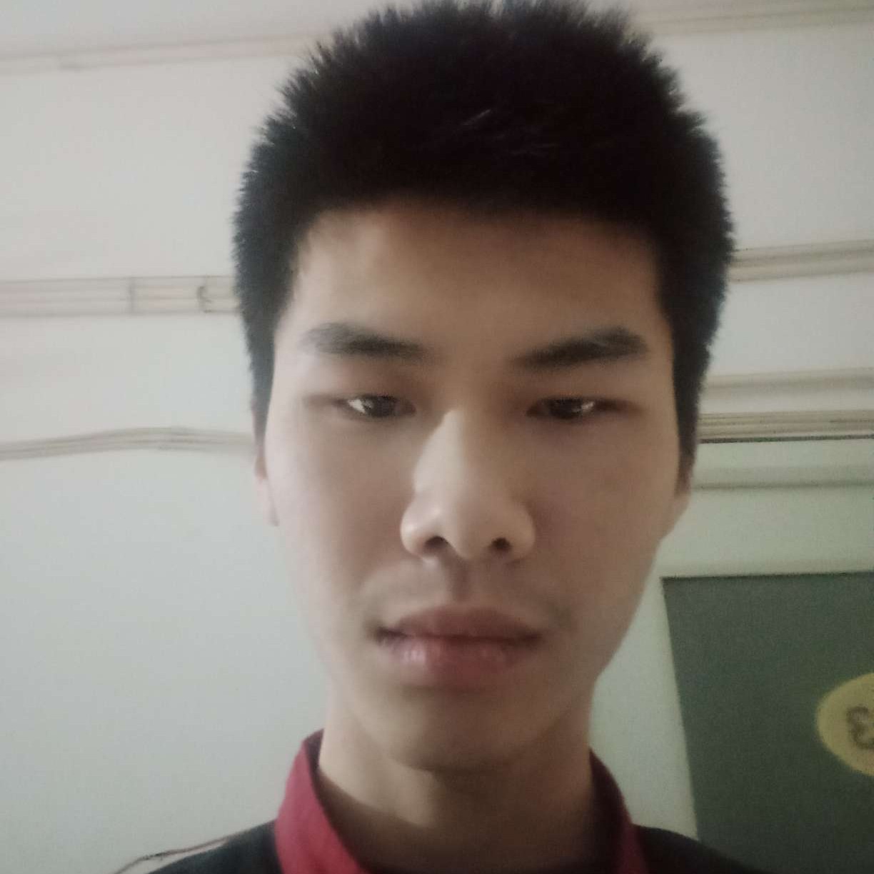 翅膀打无私的照片