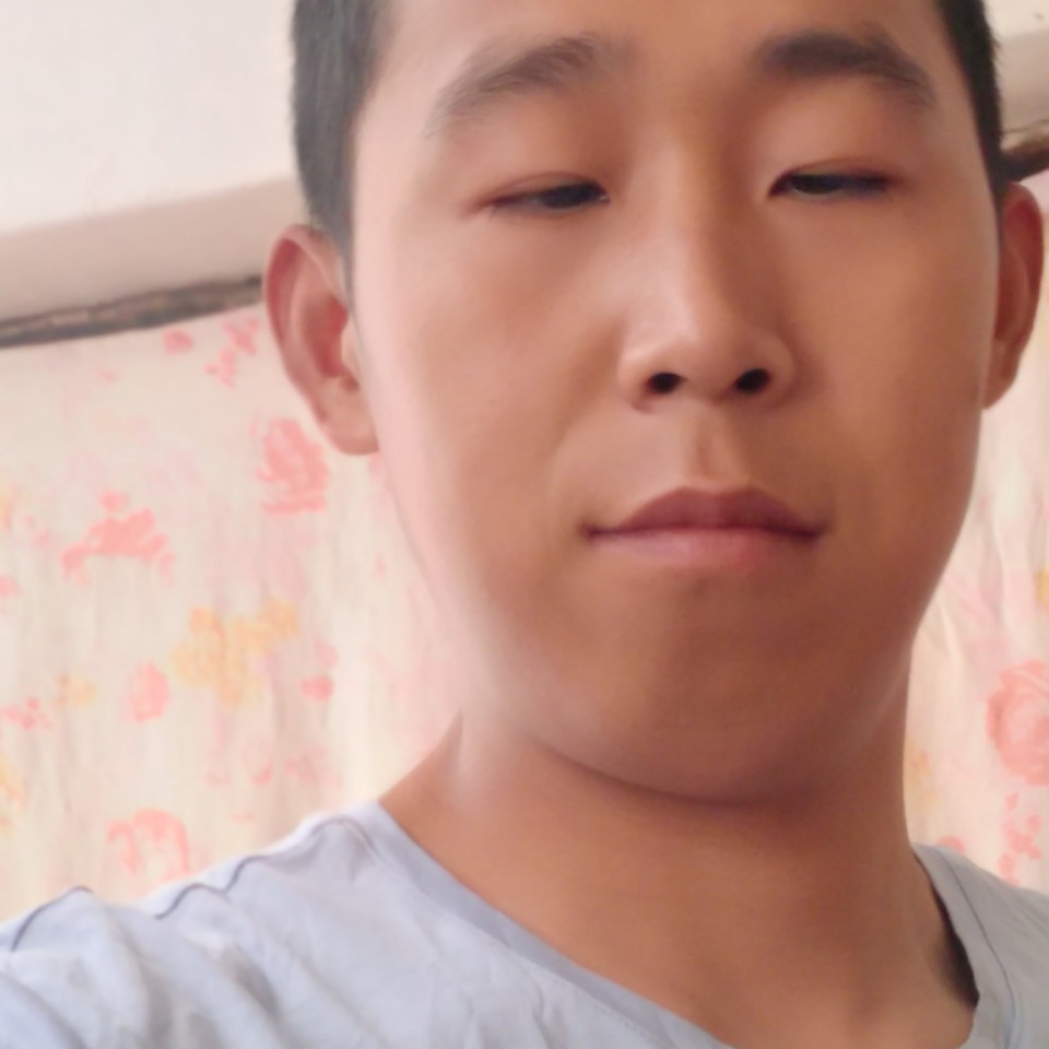 海燕相许无语的照片