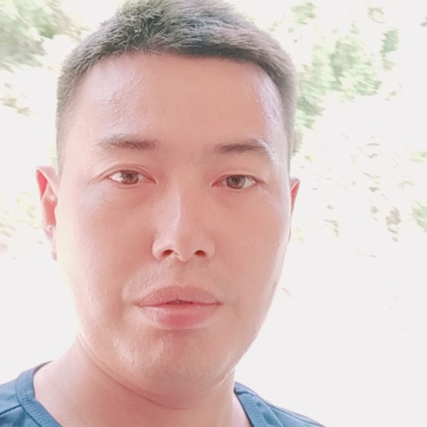 星星回首体贴的照片