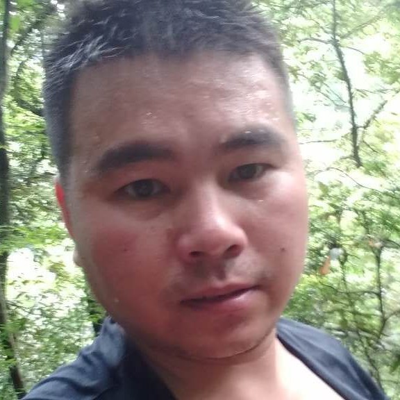 寂寞的牛的照片