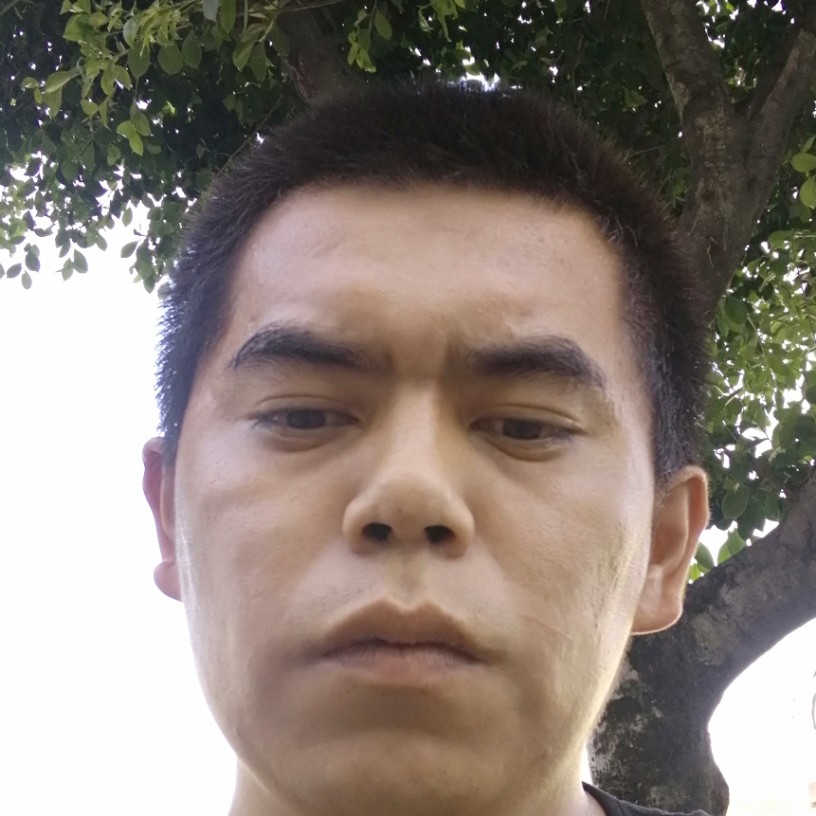 天狼的照片