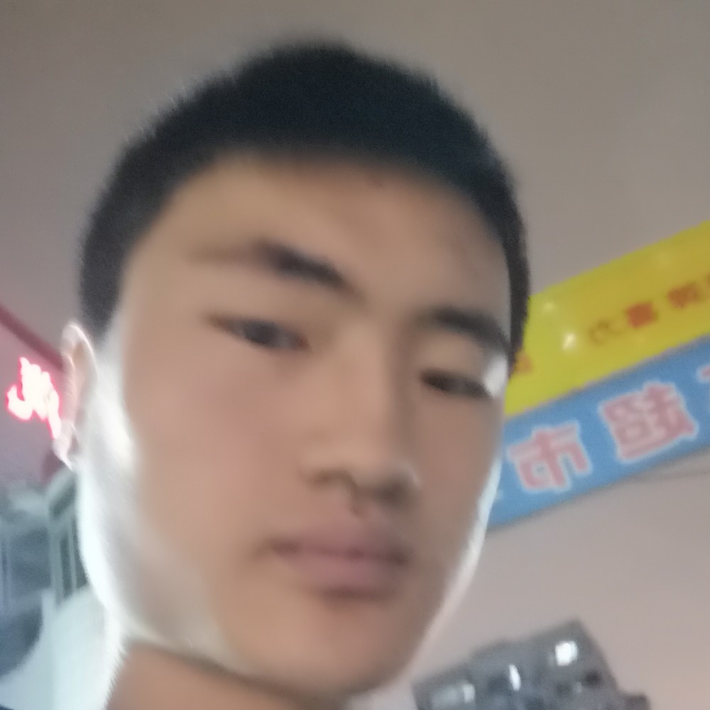明理用狗的照片