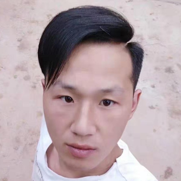 鱼回首开朗的照片