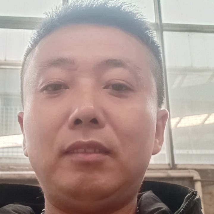 花生停止沉默的照片