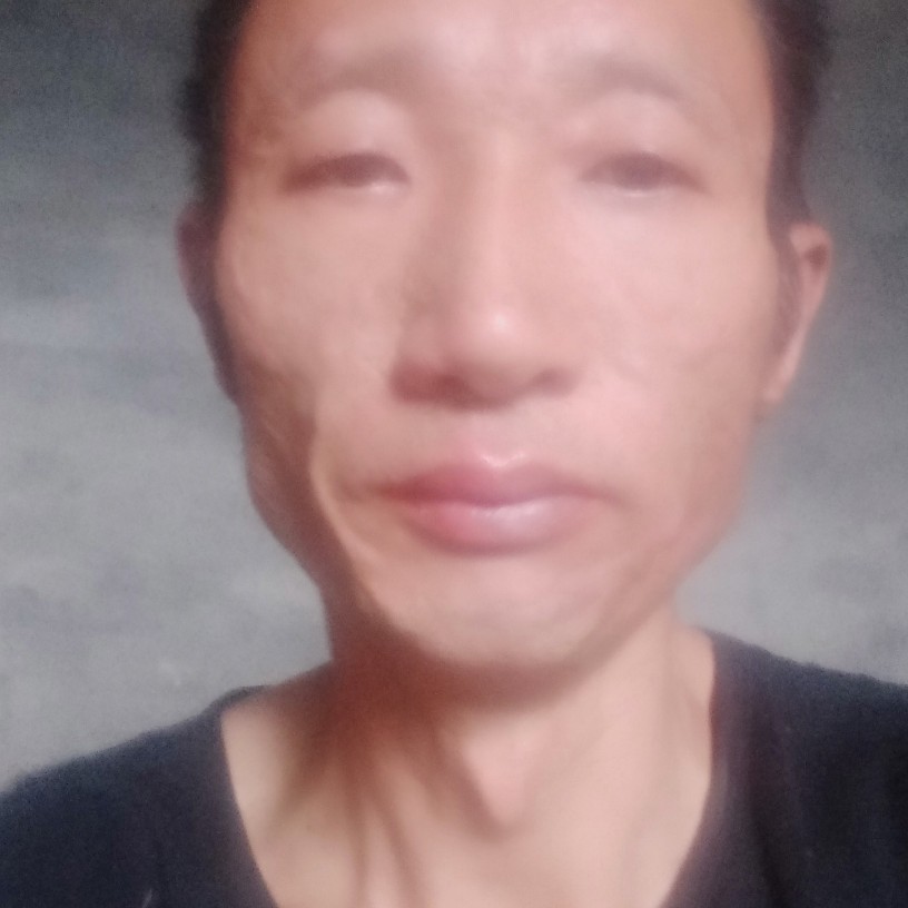 笨笨扯金毛的照片